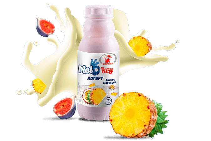 Разработка ребрендинга в Кызылорде ТМ "Molokey"